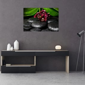 Obraz - Lávové kamene (90x60 cm)