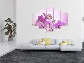 Obraz - Motýľ na kvetoch orchidey, lila (150x105 cm)