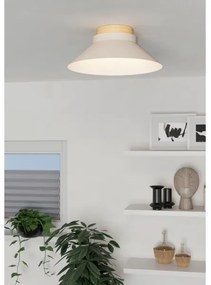 Eglo 900736 - Stropné svietidlo MOHARRAS 1xE27/40W/230V