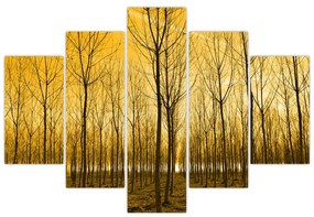 Obraz - Plantáž stromov (150x105 cm)