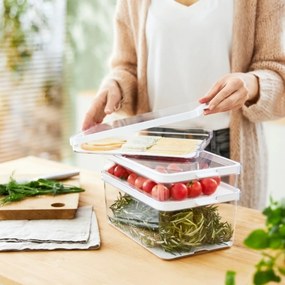 Organizér do chladničky s vekom a špeciálnou podložkou 2,6 l CAUMA