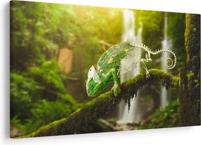 Obraz chameleóna (90x60 cm)