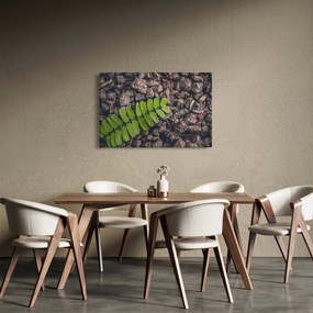 Obraz zelenej rastliny (90x60 cm)