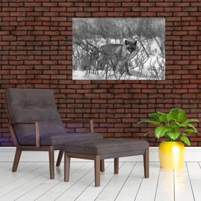 Obraz - Líška v zime (90x60 cm)