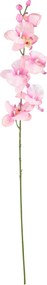 XXXLutz UMELÝ KVET orchidea 72 cm - Kvety & kvetináče - 0041770761