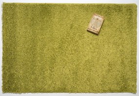 Mono Carpet Kusový koberec Efor Shaggy 1903 Green - 120x170 cm