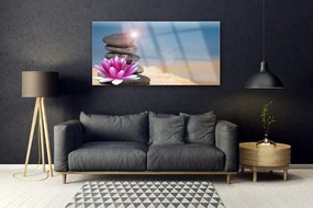 Obraz plexi Kamene kvet umenie 120x60 cm