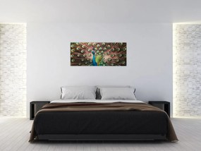 Obraz - Páv (120x50 cm)
