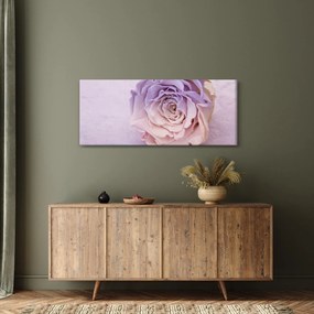 Obraz detailu kvetu ruže (120x50 cm)