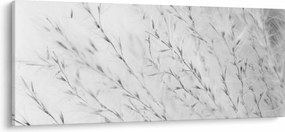 Obraz - Pampas grass N⁰2 (120x50 cm)