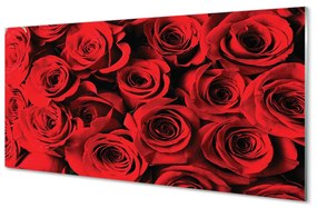 Obraz plexi Ruže 125x50 cm