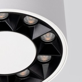 Stropné LED svietidlo Dio, 1x LED 10w, 4000k, w