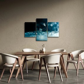 Obraz - Makro (90x60 cm)