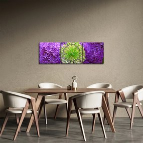 Obraz kvetu (s hodinami) (90x30 cm)