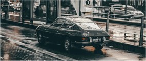 Obraz idúceho auta (120x50 cm)