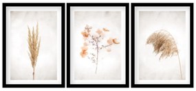 Gario Sada plagátov Dry nature Farba rámu: Biela, Veľkosť: 99 x 45 cm