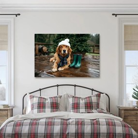 Obraz vianočný pes na terase