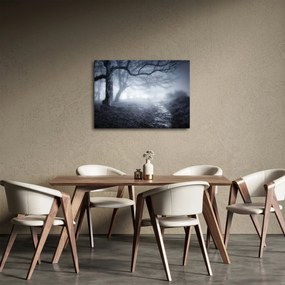 Obraz - Cesta v hmle (70x50 cm)