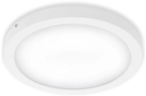 Briloner 7141-416 - LED Stropné svietidlo FIRE LED/21W/230V
