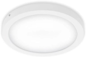 Briloner Briloner 7141-416 - LED Stropné svietidlo FIRE LED/21W/230V BL1451