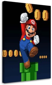 Gario Obraz na plátne Hra Mario Bros - Nikita Abakumov Rozmery: 40 x 60 cm