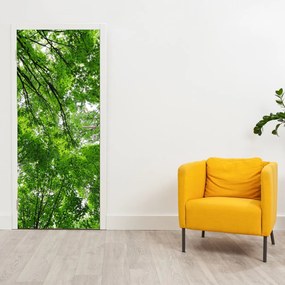 Fototapeta na dvere - Pohľad do korún stromov (95x205cm)
