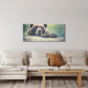 Obraz medveďa (120x50 cm)