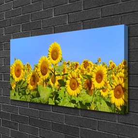 Obraz na plátne Slnečnica kvet rastlina 125x50 cm