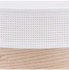 Stropné svietidlo Wood, 1x béžová dubová dýha/biele PVC tienidlo, (biele plexisklo), (fi 40cm)