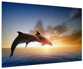 Obraz delfínov (90x60 cm)