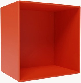 Modul Mini 1001