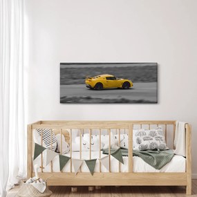 Obraz - Rýchle auto (120x50 cm)
