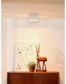 Lucide 09101/02/31 - Bodové svietidlo BODI 2xGU10/50W/230V