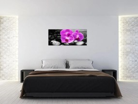 Obraz - Fialové orchidey (120x50 cm)