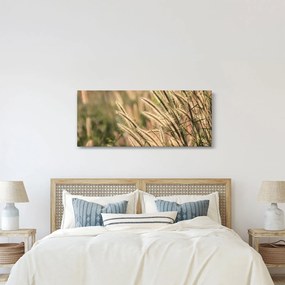 Obraz - Obilie (120x50 cm)