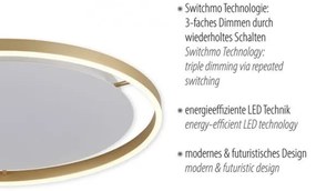 Leuchten Direkt 15392-60 - LED Stmievateľné stropné svietidlo RITUS LED/30W/230V