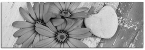 Obraz na plátne - Kvety a kamenné srdce - panoráma 583QA (120x45 cm)
