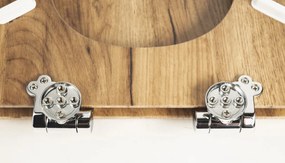 Aqualine, AQUALINE WC sedátko , D-tvar, Soft Close, dub, 1705-20