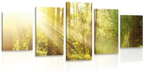 5-dielny obraz slnečné lúče v lese - 200x100
