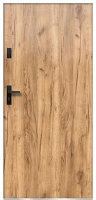 Dvere vchodové Artemida P55 90L Dub Sonoma