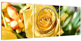 Obraz ruže (s hodinami) (90x30 cm)