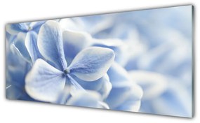 Obraz plexi Kvety plátky príroda 125x50 cm