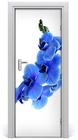 Fototapeta samolepiace modrá orchideami 85x205 cm