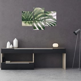 Obraz - List monštier (90x60 cm)