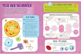 Samolepková knižka-svieti v tme Ľudské telo