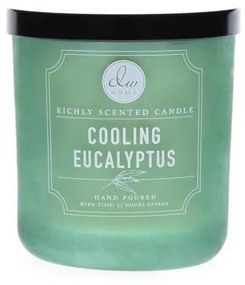 dw HOME Vonná sviečka v skle - Chladivý eukalyptus 255 g
