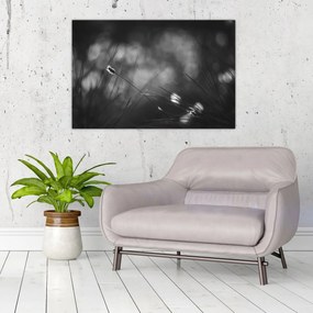 Obraz - Lúčna tráva (90x60 cm)