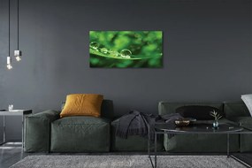 Obraz canvas Vodné kvapky makro 140x70 cm