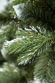 Limpol Vianočný stromček borovica Lamia 170 cm