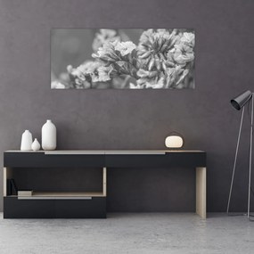 Obraz - Sušené kvety (120x50 cm)